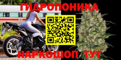 спайс Гусь-Хрустальный