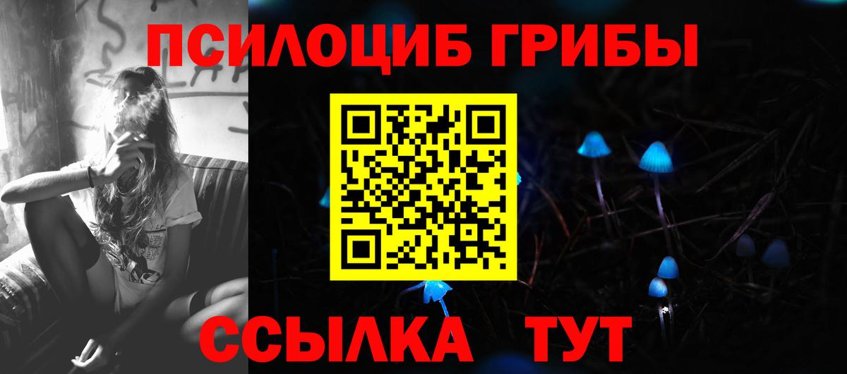 Галлюциногенные грибы Cubensis  Псилоцибиновые грибы прущие грибы  Мурино  Вход с VPN 