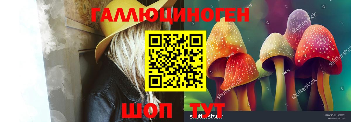 Галлюциногенные грибы мицелий Мурино