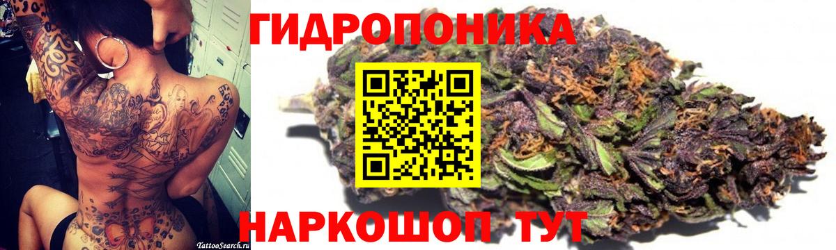 Конопля план Мурино
